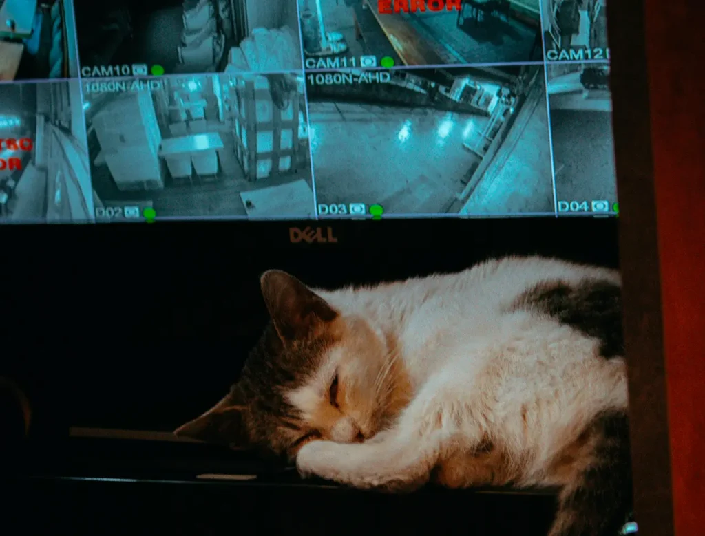 راه اندازی دوربین مدار بسته